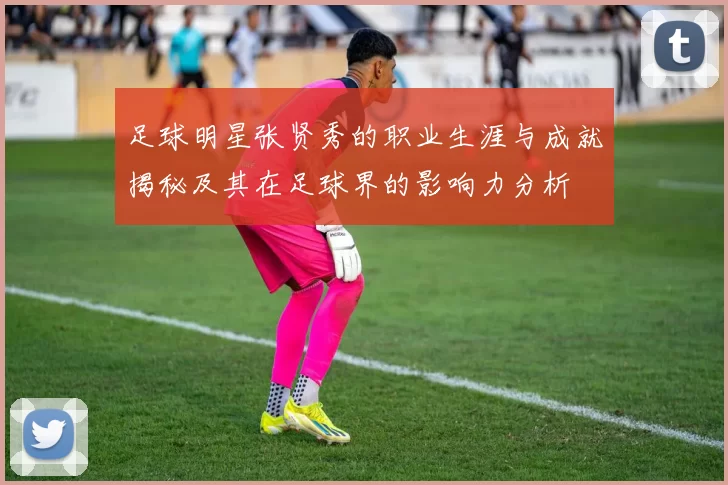 足球明星张贤秀的职业生涯与成就揭秘及其在足球界的影响力分析