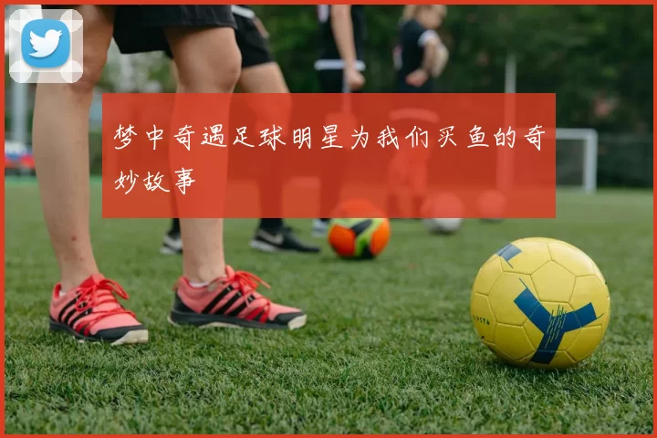 梦中奇遇足球明星为我们买鱼的奇妙故事