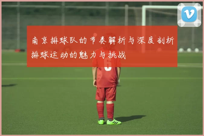 南京排球队的节奏解析与深度剖析排球运动的魅力与挑战