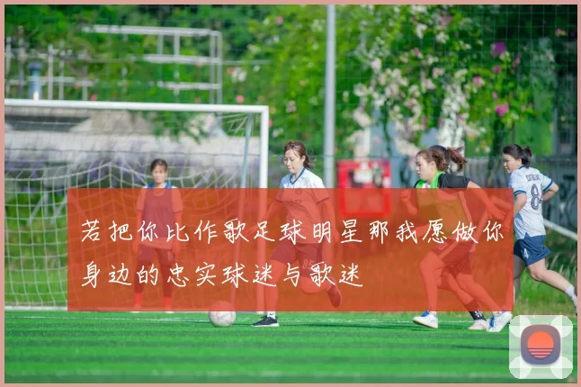 若把你比作歌足球明星那我愿做你身边的忠实球迷与歌迷