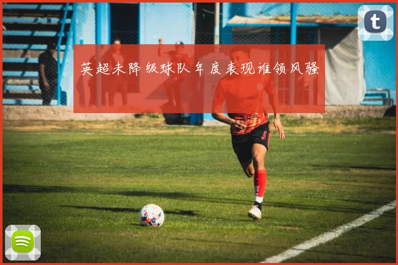 英超未降级球队年度表现谁领风骚