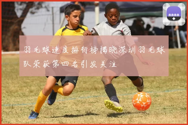 羽毛球速度排行榜揭晓深圳羽毛球队荣获第四名引发关注