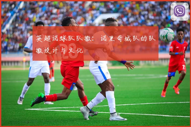 英超诺球队队徽：诺里奇城队的队徽设计与文化
