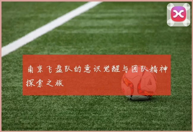 南京飞盘队的意识觉醒与团队精神探索之旅